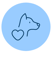 犬に関わる仕事に就いている人へ