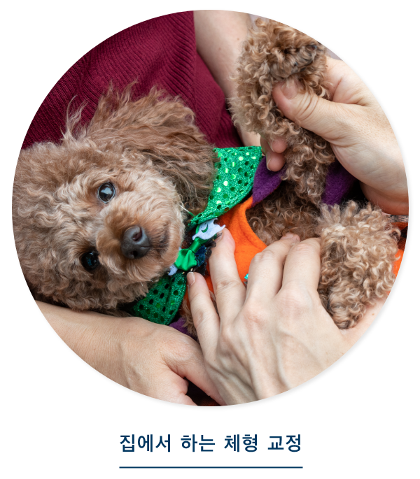 집에서 하는 체형 교정